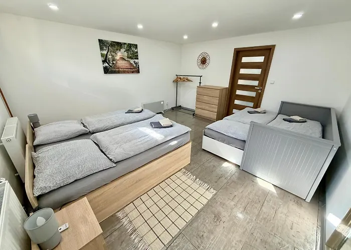 U Peti Kohoutu Apartment *